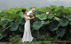 韩国电影美人快播